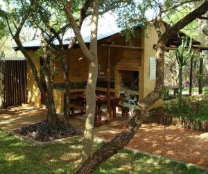 xr:d:DAGCgLNKTBo:9,j:1345875354840766587,t:24041517